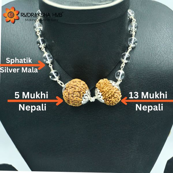 Rudraksha for Real Estate