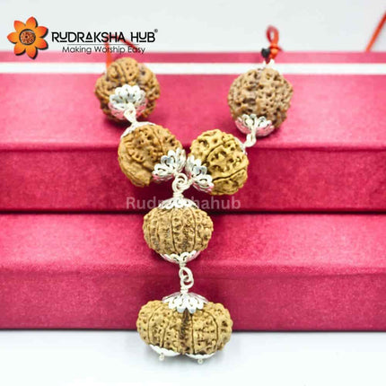 Rudraksha for Psychiatrist