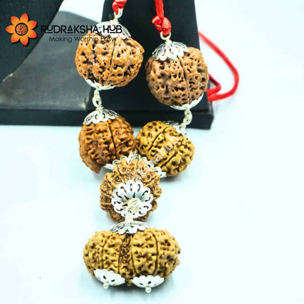 Rudraksha for Psychiatrist