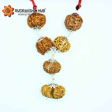 Rudraksha for Psychiatrist