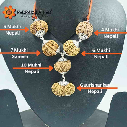 Rudraksha for Psychiatrist