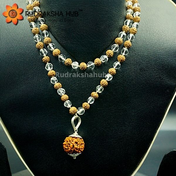 Rudraksha For Strong Venus and Moon