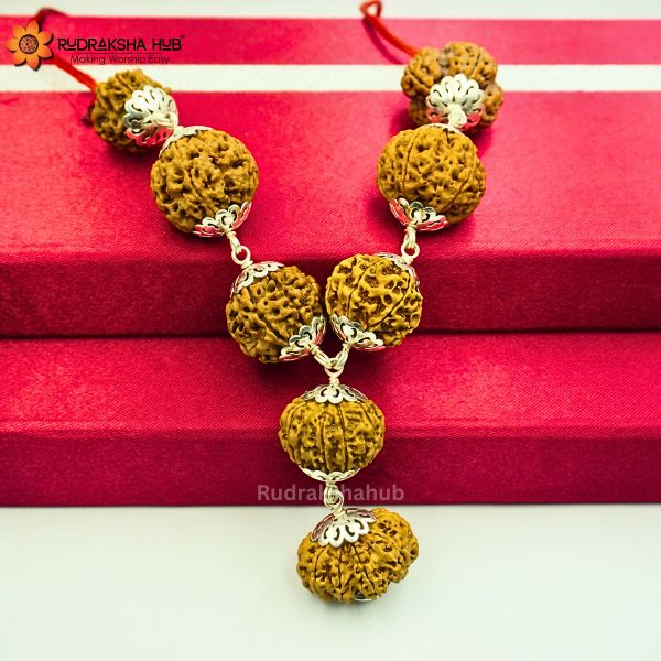 Rudraksha for Success