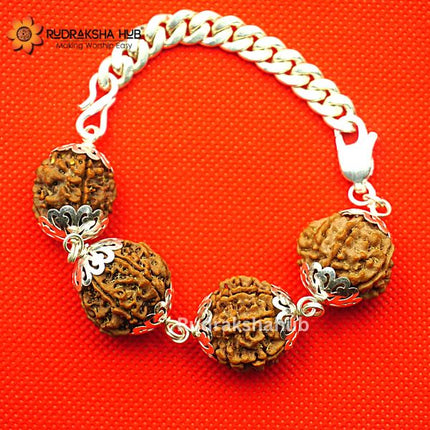 Rudraksha for Focus