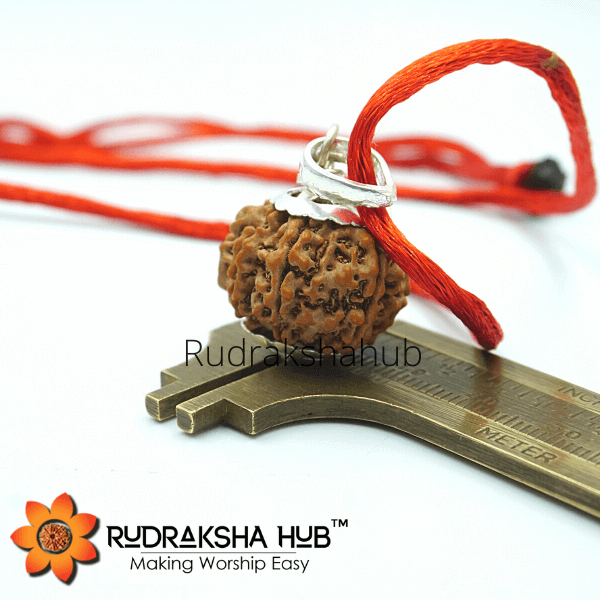 8 Mukhi Rudraksha Silver Pendant