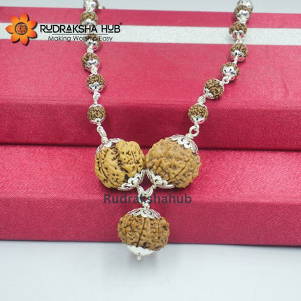 Shani Kawach for Capricorn