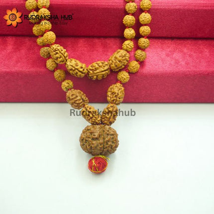 Rudraksha For Financial Stress
