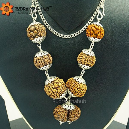 Rudraksha for Good Standard of Life