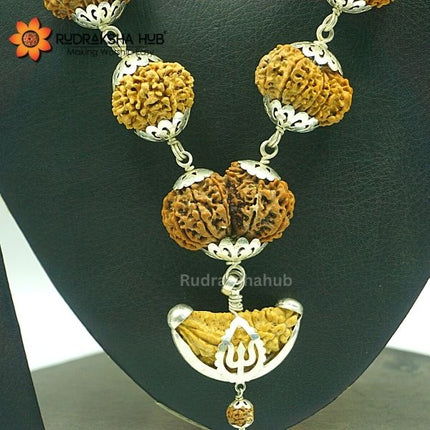 1-14 Mukhi Siddha Rudraksha Mala (Nepali)