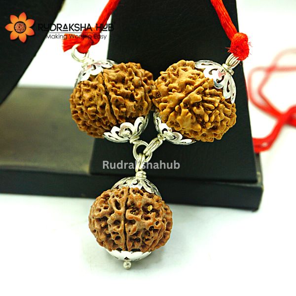 Rudraksha for Power Management and Confidence