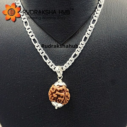 4 Mukhi Rudraksha Pendant in Pure Silver Chain