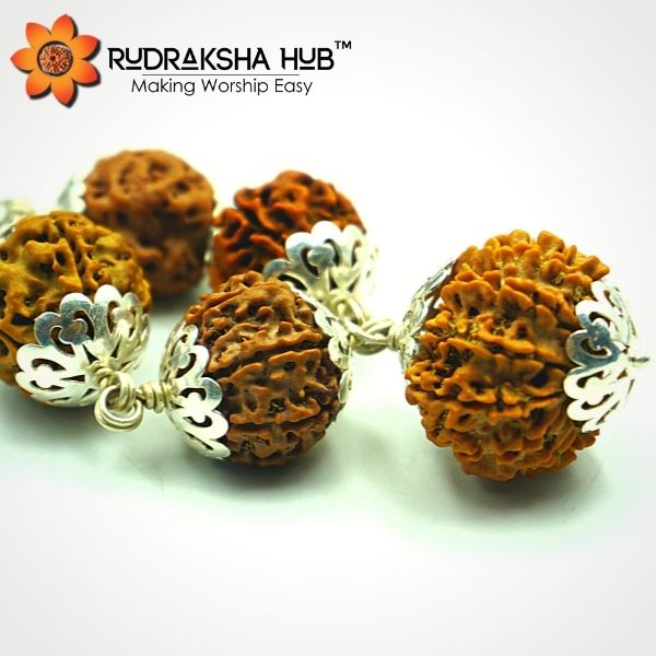 Rudraksha for Early Marriage in Silver Chain