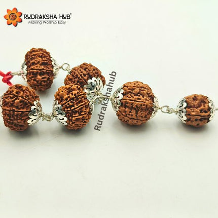 Rudraksha for Prevention and Protection