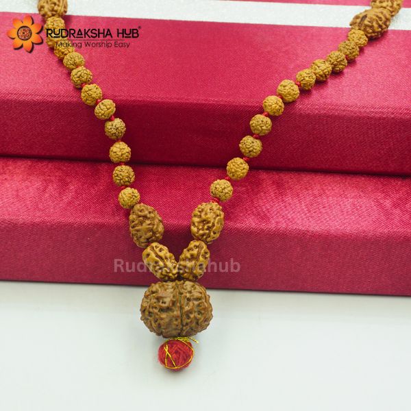 Rudraksha For Financial Stress