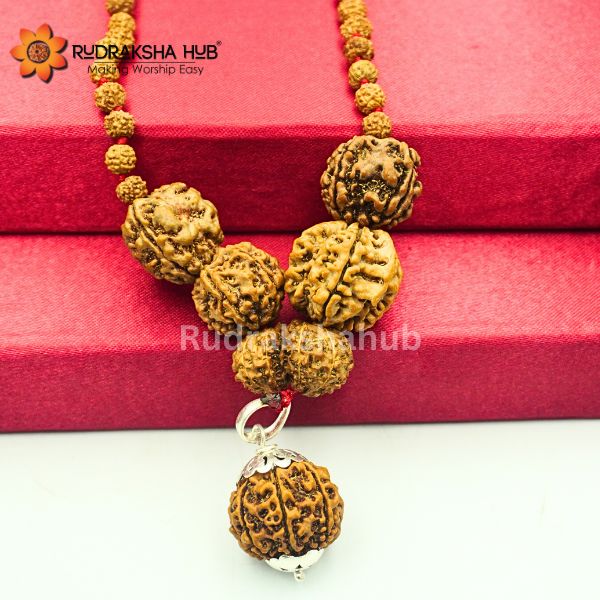 Rudraksha for Health, Career And Family