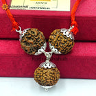 भय के लिए रुद्राक्ष