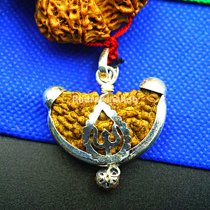 1-14 Mukhi Siddha Rudraksha Mala (Nepali)