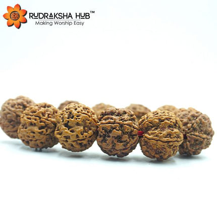 5 मुखी रुद्राक्ष कंगन (समायोज्य)