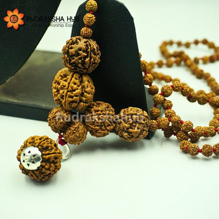 Rudraksha for Health, Career And Family