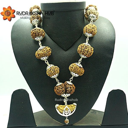 1-14 Mukhi Siddha Rudraksha Mala (Nepali)