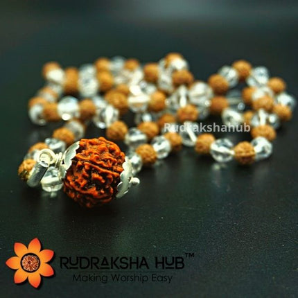 मजबूत शुक्र और चंद्रमा के लिए रुद्राक्ष