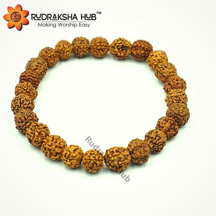 7 Mukhi Rudraksha Bracelet