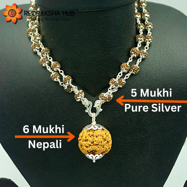 6 Mukhi Rudraksha in Pure Silver Mala 108 Beads