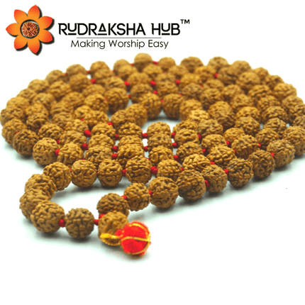 6 मुखी रुद्राक्ष माला
