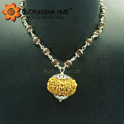 Rudraksha for Improved Fertility
