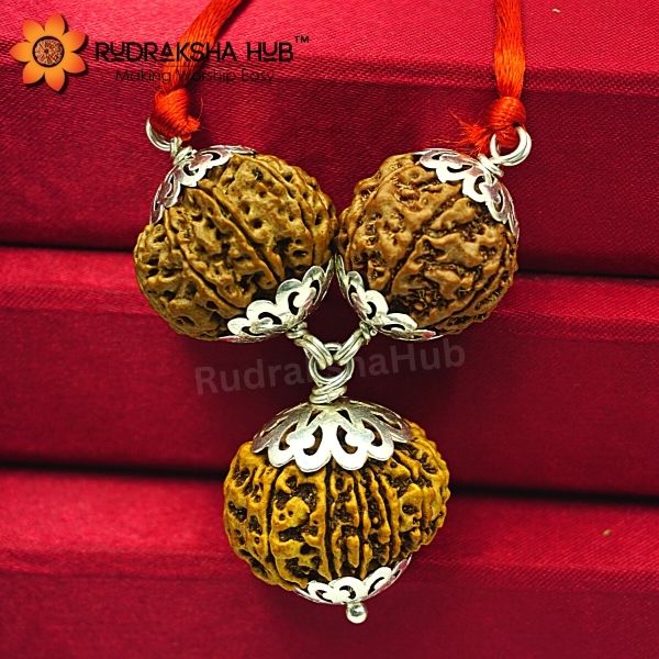 Rudraksha for Career Growth