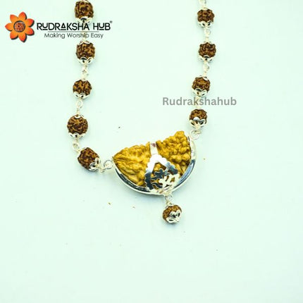Rudraksha for Intelligence and Courage