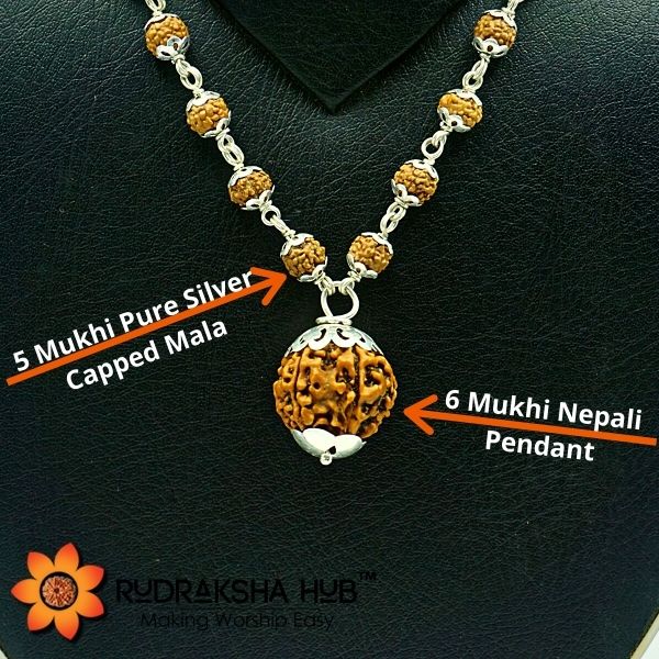 6 Mukhi Rudraksha Pendant in Silver Mala