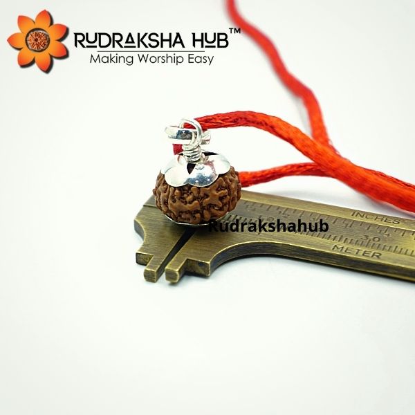 9 Mukhi Rudraksha Indonesian Silver Pendant