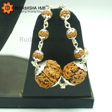 Rudraksha for Health and Success
