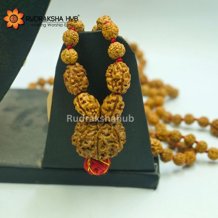 Rudraksha For Financial Stress