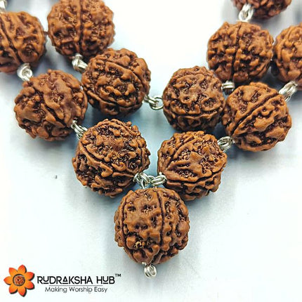 Rudraksha Kantha Mala Pure Silver