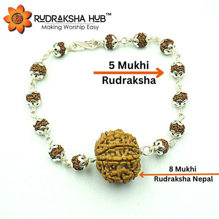 8 मुखी रुद्राक्ष कंगन