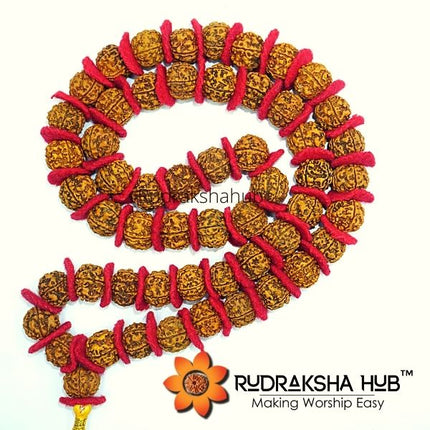 Rudraksha Kantha Mala