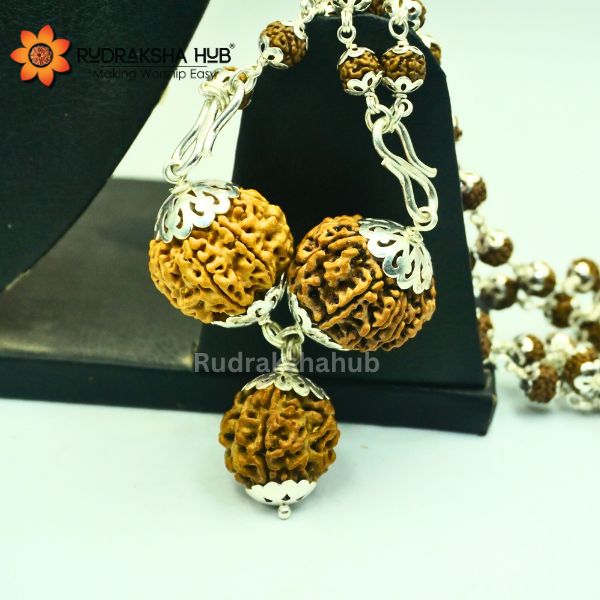 Rudraksha For Stock Market Traders