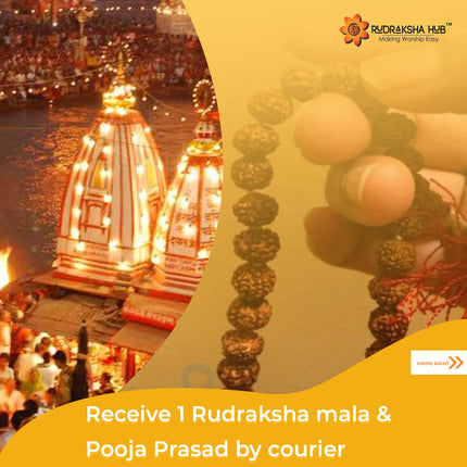 Mahashivratri Maharudrabhishek 26 Feb 2025