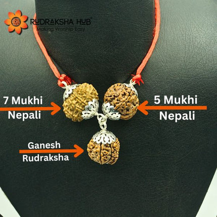 Rudraksha for Accountants