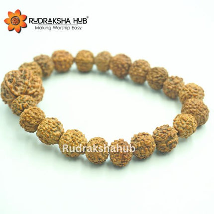 7 मुखी रुद्राक्ष गुरु कंगन