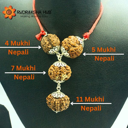 Rudraksha for Working Women