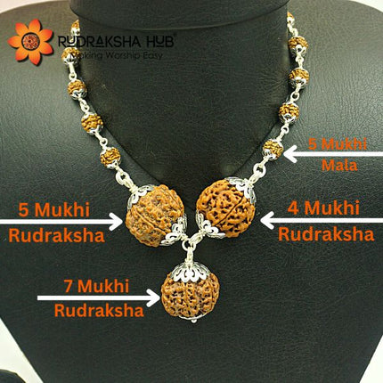 Rudraksha for Strong Jupiter