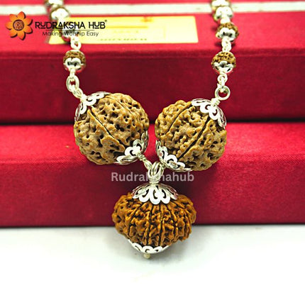 Rudraksha for Materialistic Gains