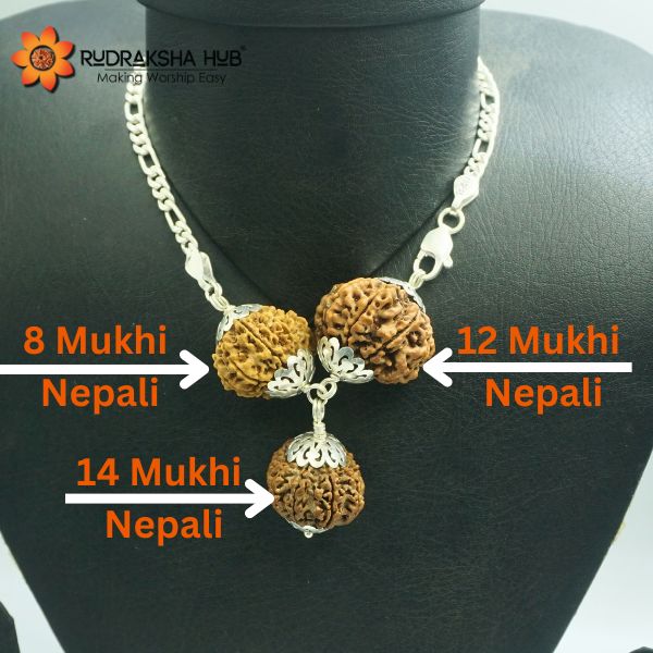 Rudraksha for Power and Protection