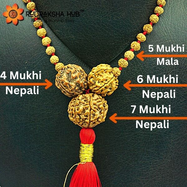 Rudraksha for Property Issues