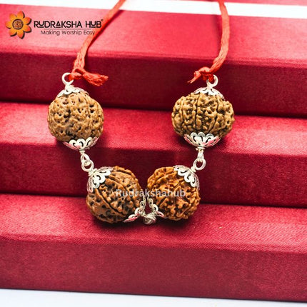 Rudraksha for Achievers