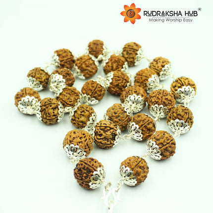 Rudraksha Kantha Mala Pure Silver Capped