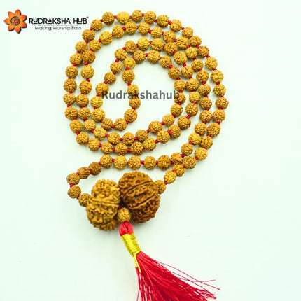 Rudraksha for Super Power